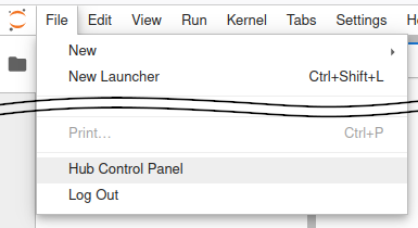Hub Control panel entry in lab File menu