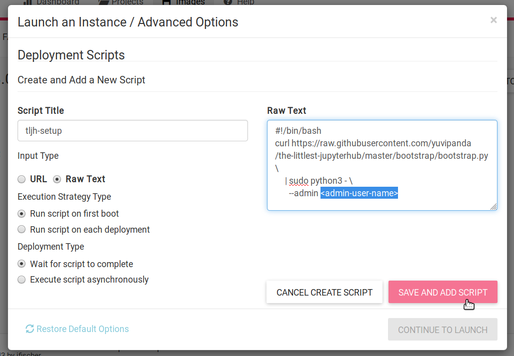 Launch an Instance / Advanced Options dialog box