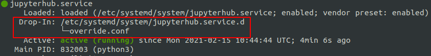 Checking the status of the JupyterHub systemd service
